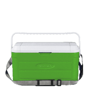 Изотермический контейнер 20 литров зелёный